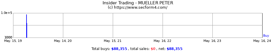 Insider Trading Transactions for MUELLER PETER