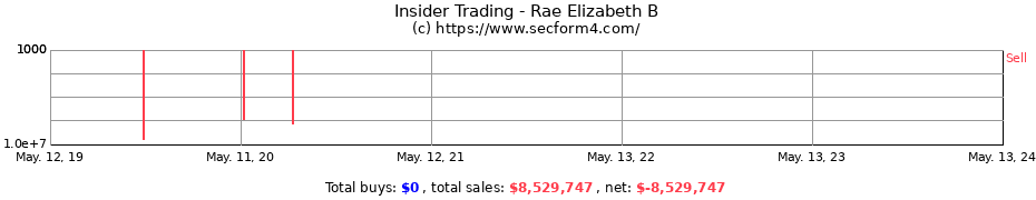 Insider Trading Transactions for Rae Elizabeth B