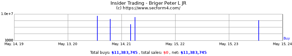 Insider Trading Transactions for Briger Peter L JR