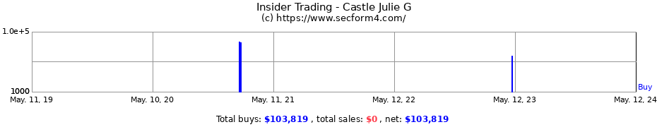 Insider Trading Transactions for Castle Julie G