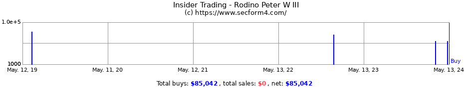 Insider Trading Transactions for Rodino Peter W III