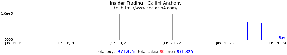 Insider Trading Transactions for Callini Anthony