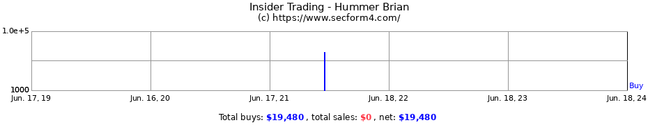 Insider Trading Transactions for Hummer Brian