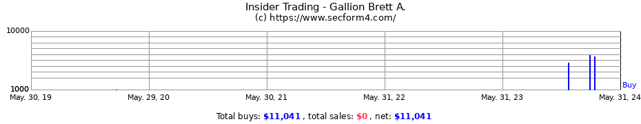 Insider Trading Transactions for Gallion Brett A.