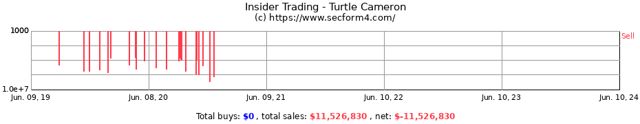 Insider Trading Transactions for Turtle Cameron