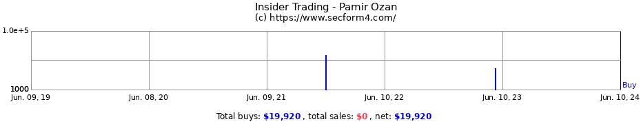 Insider Trading Transactions for Pamir Ozan