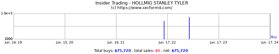 Insider Trading Transactions for HOLLMIG STANLEY TYLER