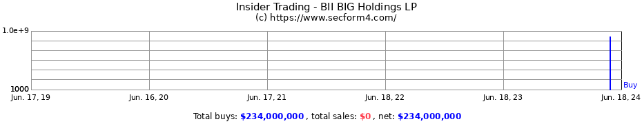 Insider Trading Transactions for BII BIG Holdings LP