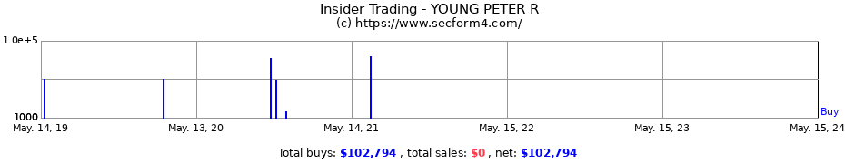 Insider Trading Transactions for YOUNG PETER R