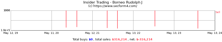 Insider Trading Transactions for Borneo Rudolph J