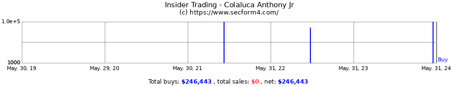 Insider Trading Transactions for Colaluca Anthony Jr