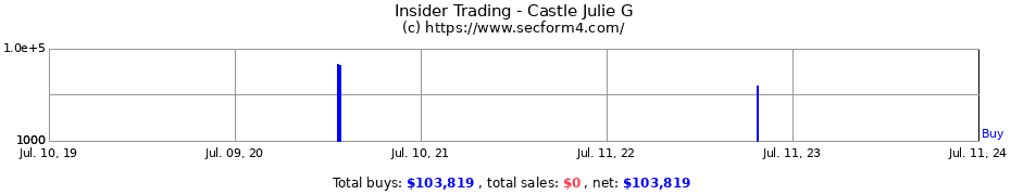 Insider Trading Transactions for Castle Julie G