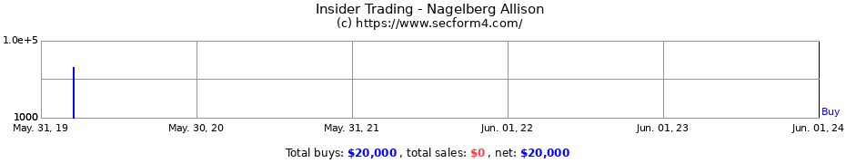 Insider Trading Transactions for Nagelberg Allison
