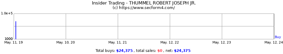 Insider Trading Transactions for THUMMEL ROBERT JOSEPH JR.