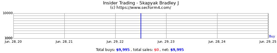 Insider Trading Transactions for Skapyak Bradley J