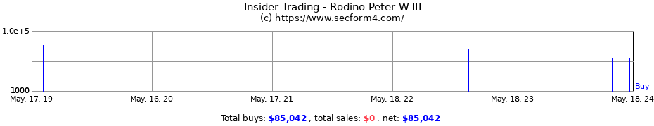 Insider Trading Transactions for Rodino Peter W III