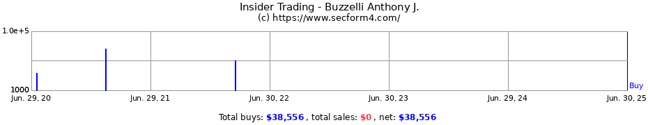 Insider Trading Transactions for Buzzelli Anthony J.