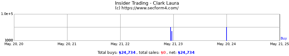 Insider Trading Transactions for Clark Laura