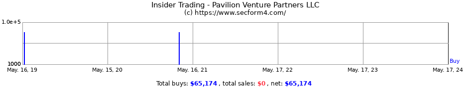 Insider Trading Transactions for Pavilion Venture Partners LLC