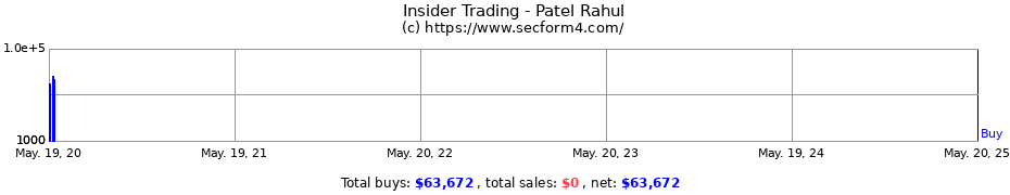 Insider Trading Transactions for Patel Rahul