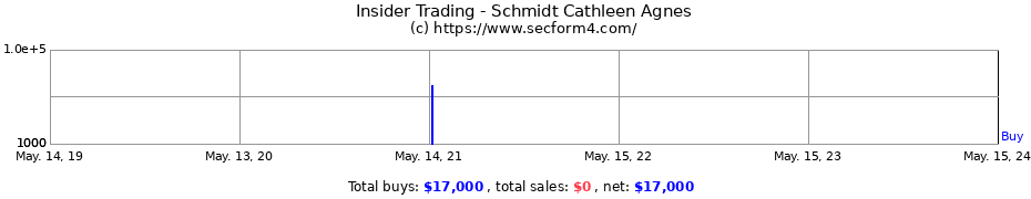 Insider Trading Transactions for Schmidt Cathleen Agnes