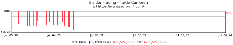 Insider Trading Transactions for Turtle Cameron