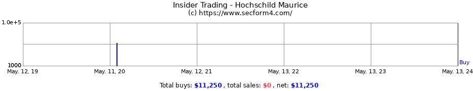 Insider Trading Transactions for Hochschild Maurice