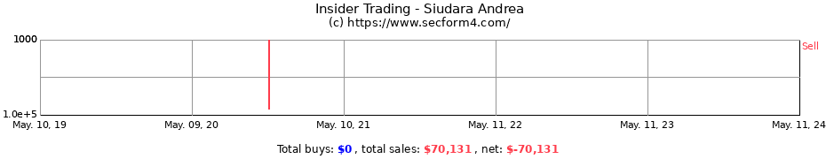 Insider Trading Transactions for Siudara Andrea