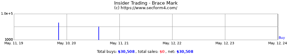 Insider Trading Transactions for Brace Mark
