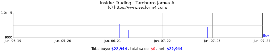 Insider Trading Transactions for Tamburro James A.