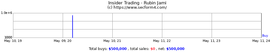 Insider Trading Transactions for Rubin Jami