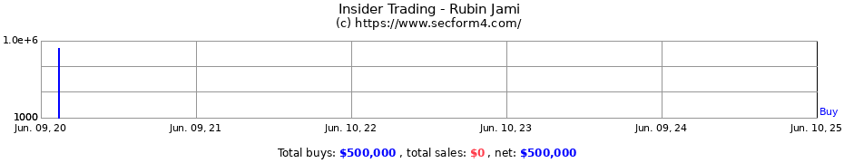 Insider Trading Transactions for Rubin Jami