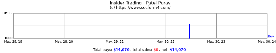 Insider Trading Transactions for Patel Purav