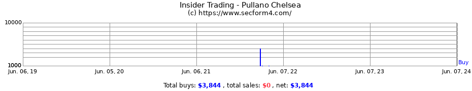 Insider Trading Transactions for Pullano Chelsea