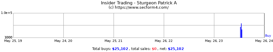 Insider Trading Transactions for Sturgeon Patrick A
