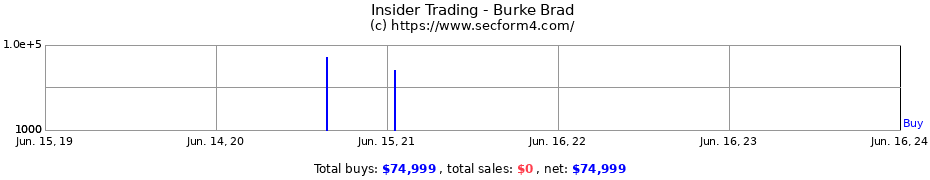 Insider Trading Transactions for Burke Brad