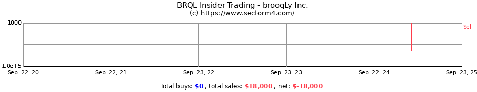 Insider Trading Transactions for brooqLy Inc.