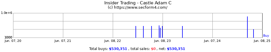 Insider Trading Transactions for Castle Adam C