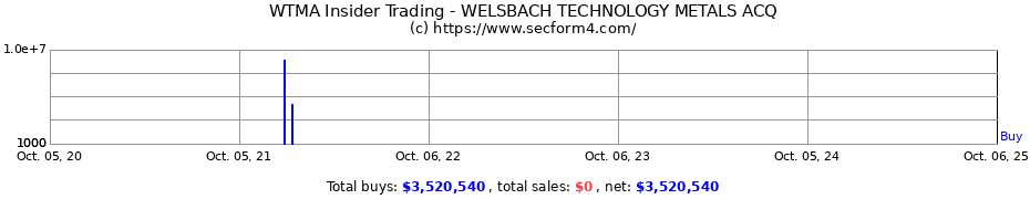 Insider Trading Transactions for WELSBACH TECHNOLOGY METALS ACQ