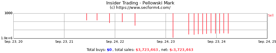 Insider Trading Transactions for Pellowski Mark