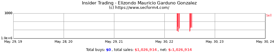 Insider Trading Transactions for Elizondo Mauricio Garduno Gonzalez