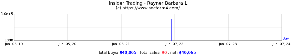 Insider Trading Transactions for Rayner Barbara L