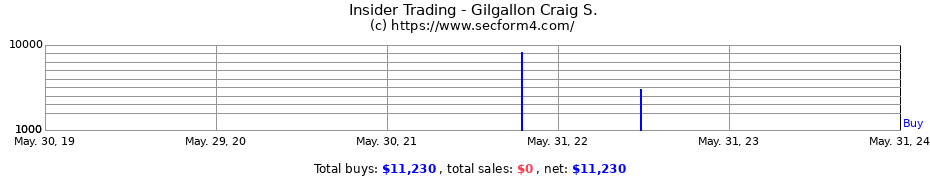 Insider Trading Transactions for Gilgallon Craig S.