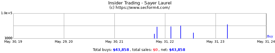 Insider Trading Transactions for Sayer Laurel