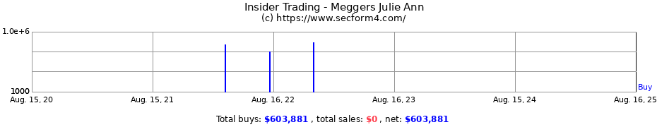 Insider Trading Transactions for Meggers Julie Ann