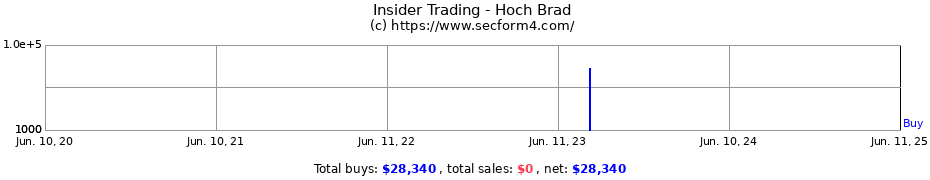 Insider Trading Transactions for Hoch Brad