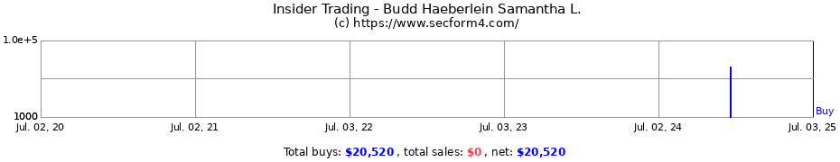 Insider Trading Transactions for Budd Haeberlein Samantha L.