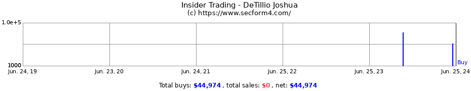 Insider Trading Transactions for DeTillio Joshua