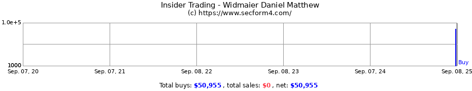 Insider Trading Transactions for Widmaier Daniel Matthew